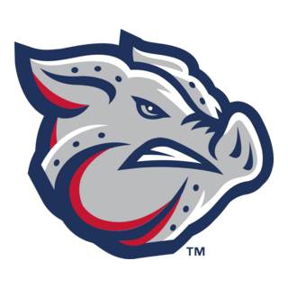 Lehigh Valley IronPigs Logo PNG Vector
