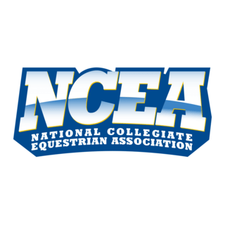 NCEA National Collegiate Equestrian Association Logo PNG Vector