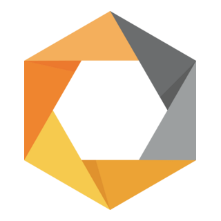 Nik Collection Logo PNG Vector