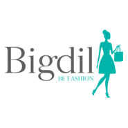 bigdil Logo PNG Vector