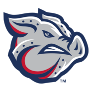 Lehigh Valley IronPigs Logo PNG Vector
