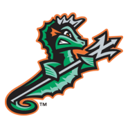 Norfolk Tides Logo PNG Vector