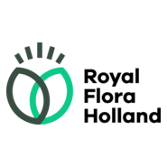 Royal FloraHolland Logo PNG Vector