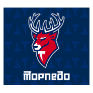 Torpedo Nizhny Novgorod Logo PNG Vector
