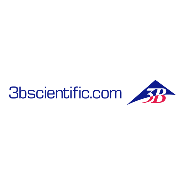 3B Scientific Logo PNG Vector