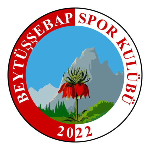 Beytüşşebapspor Logo PNG Vector