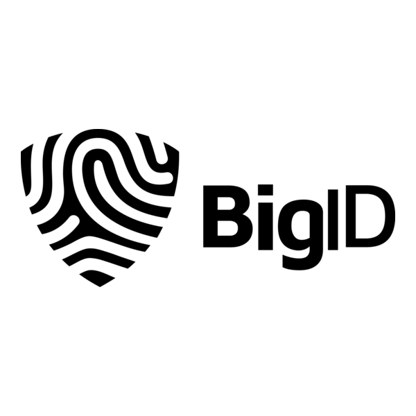 BigID Logo PNG Vector