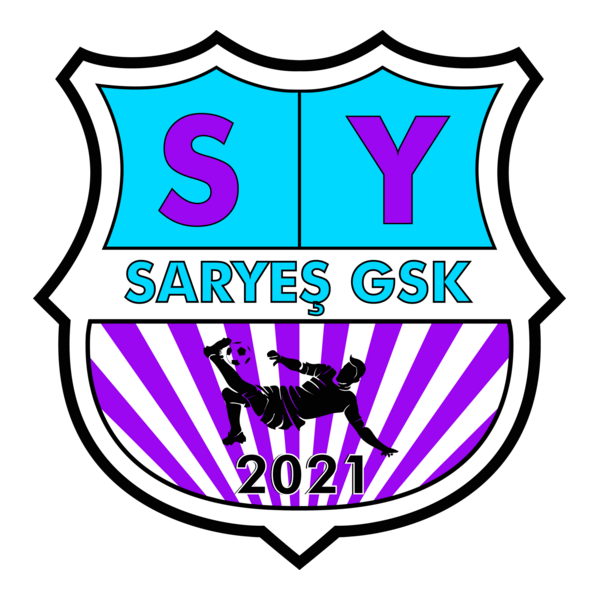 Boyabat Saryeş Spor Logo PNG Vector