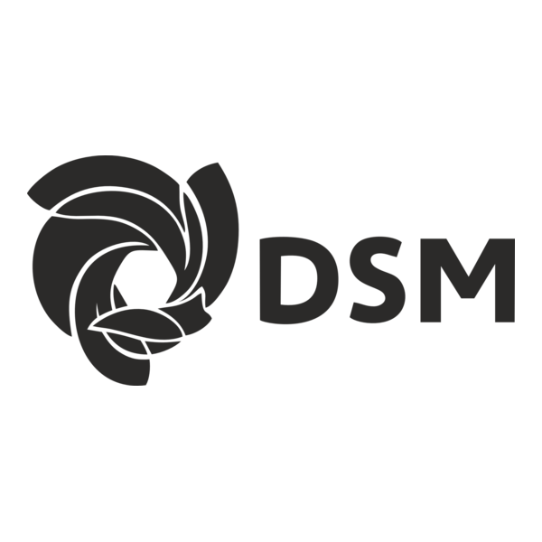 DSM Logo PNG Vector
