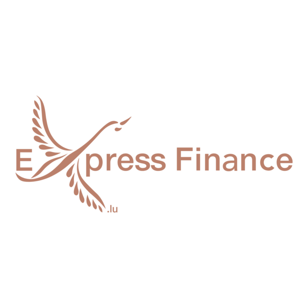 Express Finance Logo PNG Vector