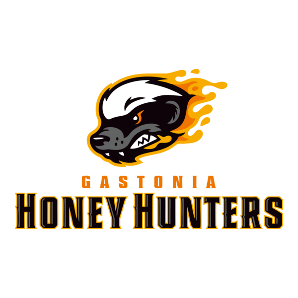 Gastonia Honey Hunters Logo PNG Vector