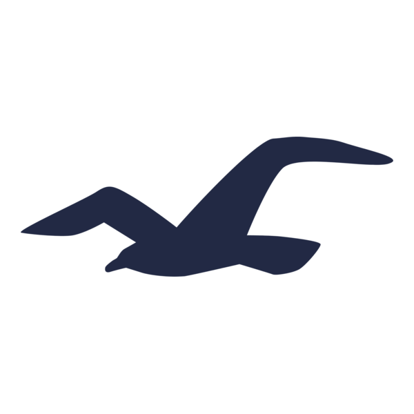 Hollister Seagul Icon Logo PNG Vector