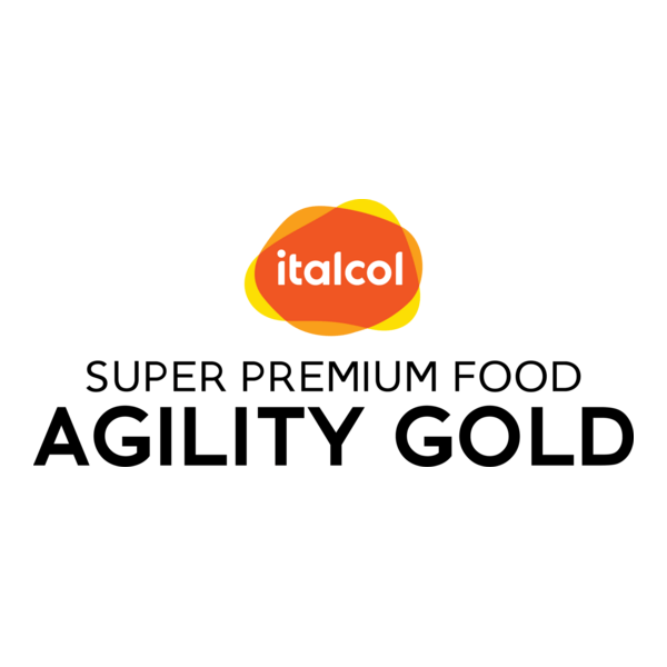 Italcol Agility Gold Logo PNG Vector