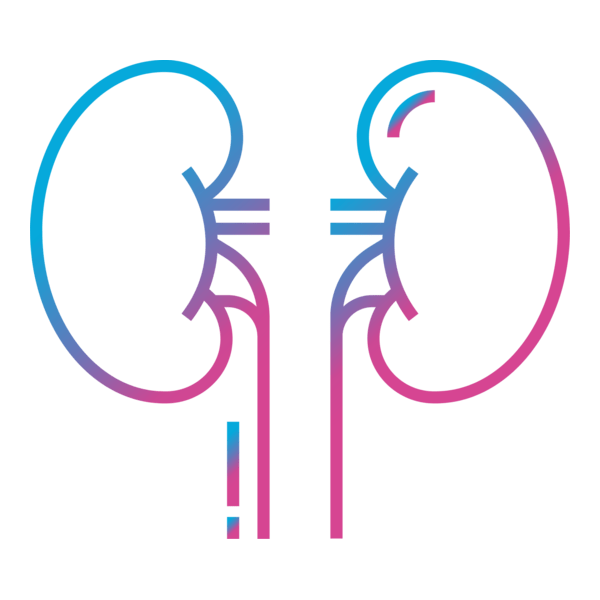 Kidney Logo PNG Vector
