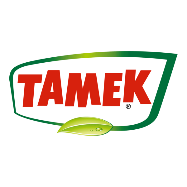 tamek Logo PNG Vector