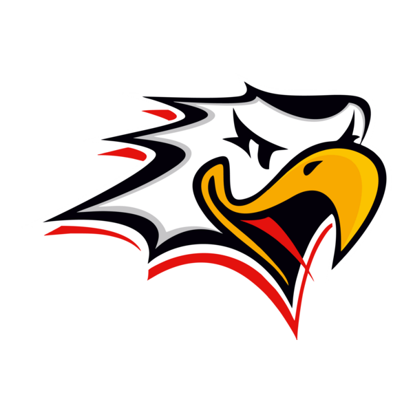 Vaasan Sport Logo PNG Vector