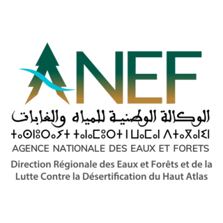 ANEF Logo PNG Vector