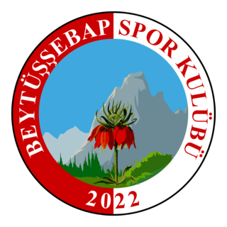 Beytüşşebapspor Logo PNG Vector
