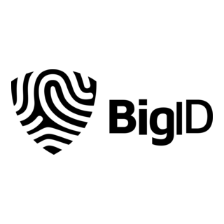 BigID Logo PNG Vector
