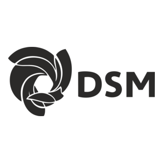 DSM Logo PNG Vector