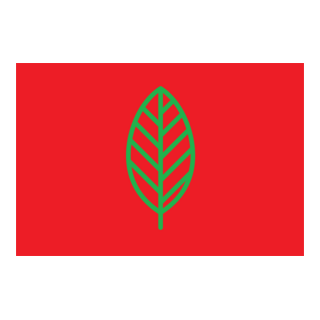 Ecosoc Logo PNG Vector