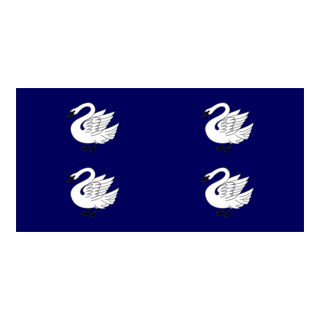 Flag of the President of Ireland (1944) Logo PNG Vector