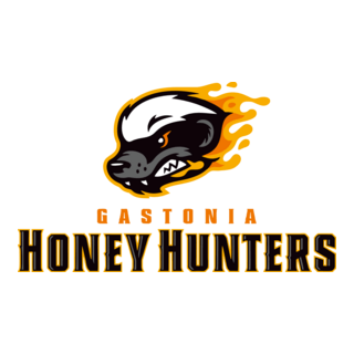 Gastonia Honey Hunters Logo PNG Vector