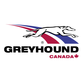 Greyhound Logo PNG Vector