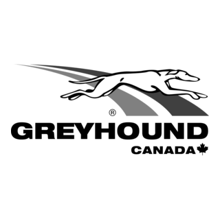 Greyhound Logo PNG Vector