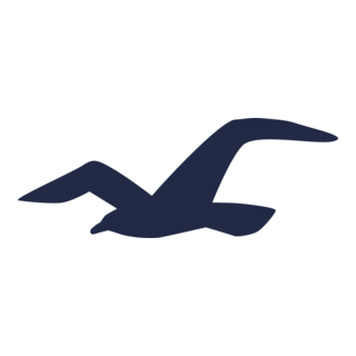 Hollister Seagul Icon Logo PNG Vector