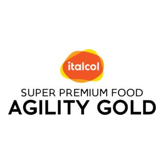 Italcol Agility Gold Logo PNG Vector
