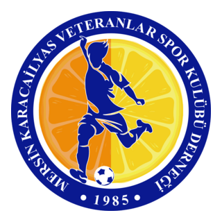 Karacailyas Veteranlarspor Logo PNG Vector