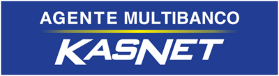 Kasnet Logo PNG Vector