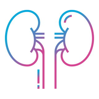 Kidney Logo PNG Vector