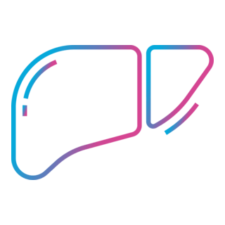 Liver Logo PNG Vector