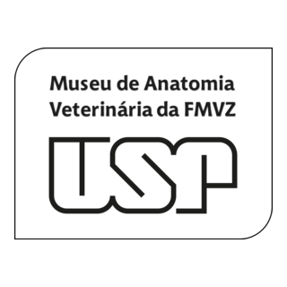 MAV-USP Logo PNG Vector