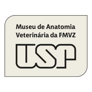 MAV-USP Logo PNG Vector