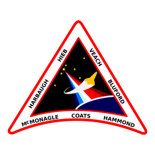 Nasa's STS-39 Mission Logo PNG Vector