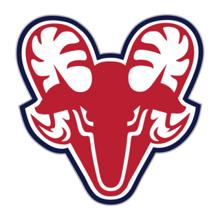 Savonlinnan Pallokerho Logo PNG Vector