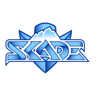 Skade Logo PNG Vector