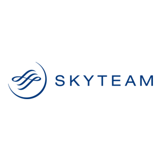 SkyTeam Logo PNG Vector