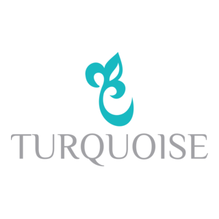Turquoise Logo PNG Vector