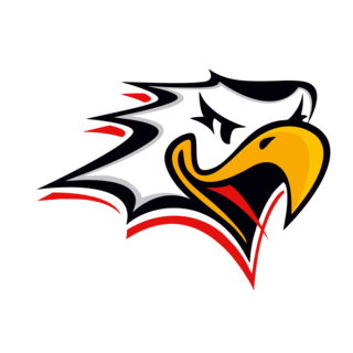 Vaasan Sport Logo PNG Vector