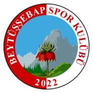 Beytüşşebapspor Logo PNG Vector
