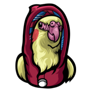 BIRD BRO (BIRDBRO) Logo PNG Vector