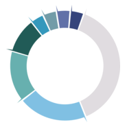 Clinicoin (CLIN) Logo PNG Vector