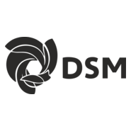 DSM Logo PNG Vector