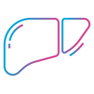 Liver Logo PNG Vector