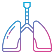 Lung Logo PNG Vector