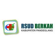 RSUD BERKAH PANDEGLANG Logo PNG Vector